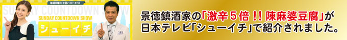 日本テレビ紹介バナー